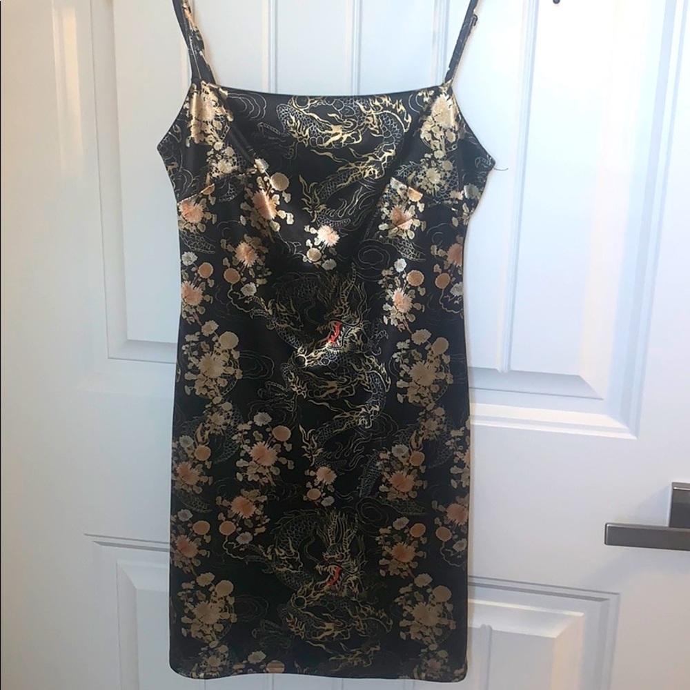 Dragon dress worn once